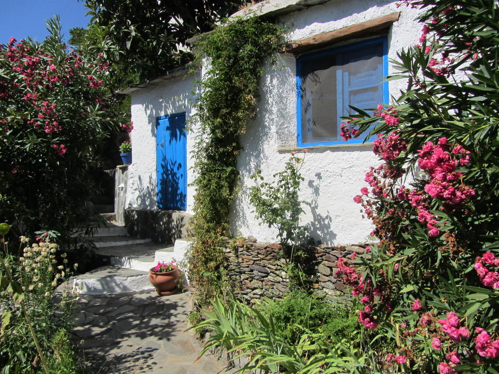 Bed and Breakfast Sierra Y Mar Феррейрола Номер фото