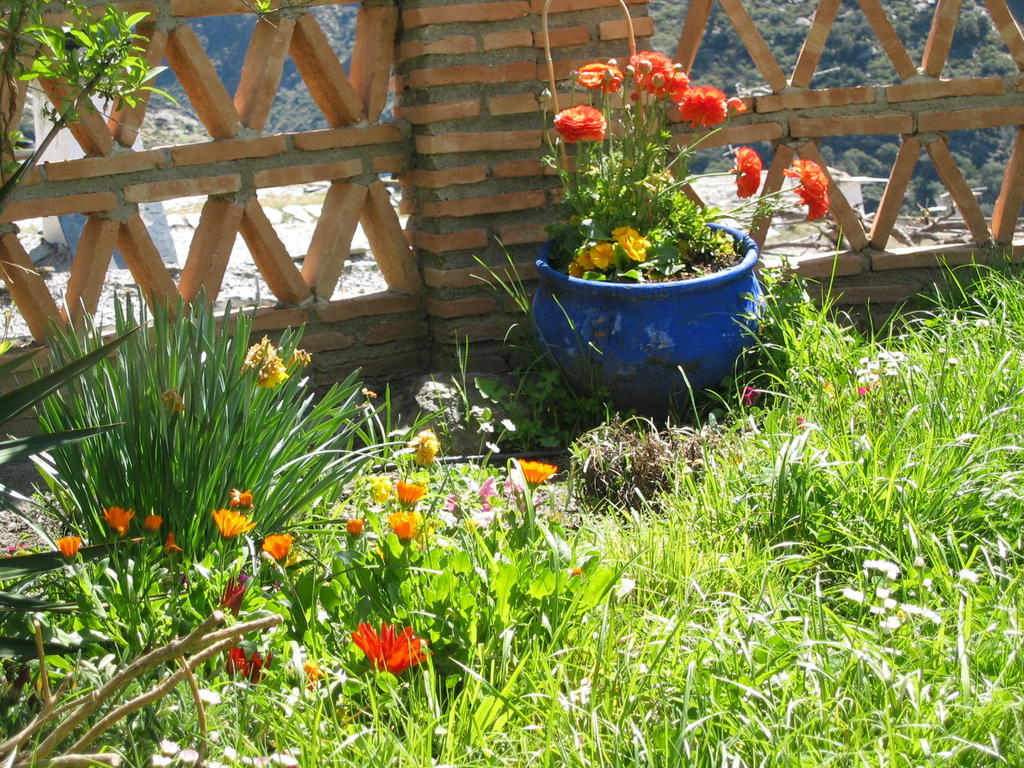Bed and Breakfast Sierra Y Mar Феррейрола Экстерьер фото