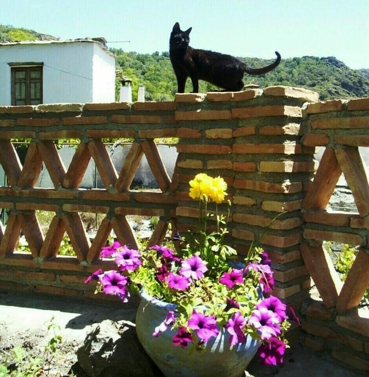 Bed and Breakfast Sierra Y Mar Феррейрола Экстерьер фото