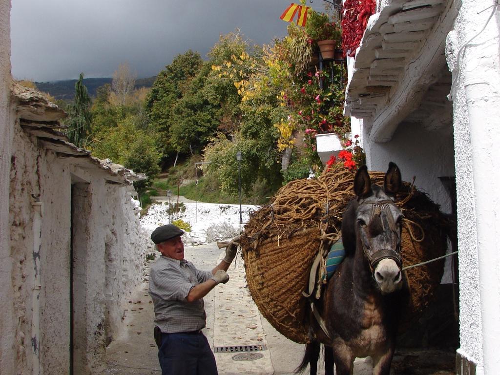 Bed and Breakfast Sierra Y Mar Феррейрола Экстерьер фото