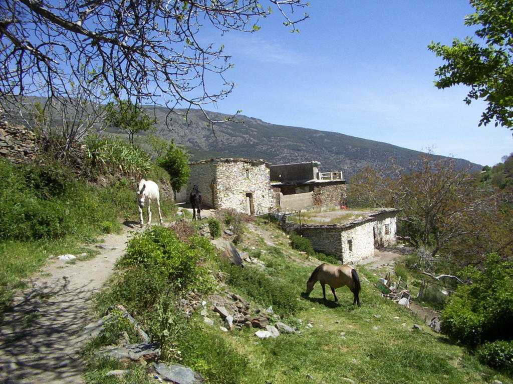 Bed and Breakfast Sierra Y Mar Феррейрола Экстерьер фото